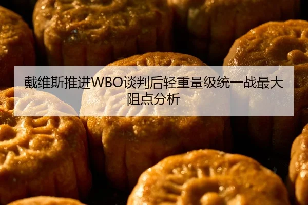 戴维斯推进WBO谈判后轻重量级统一战最大阻点分析