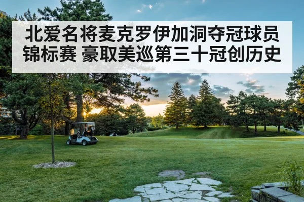北爱名将麦克罗伊加洞夺冠球员锦标赛 豪取美巡第三十冠创历史